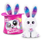Pet Furry – Magic Rabbit
